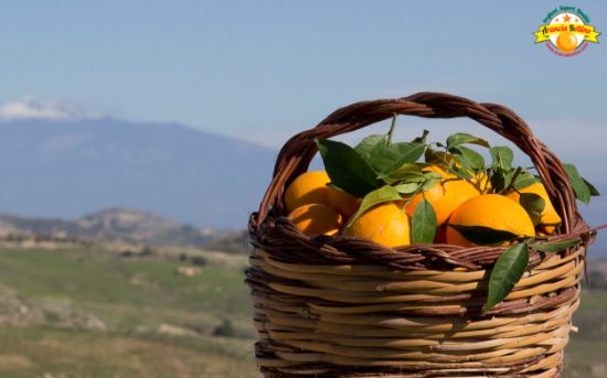Immagine di 9kg Tarocco pezzatura Grossa