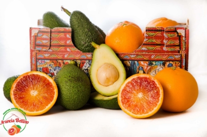 Picture of Avocado harvest in Sicily 2kg+2kg