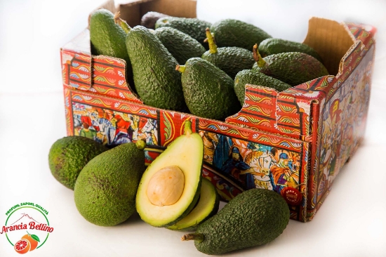 Immagine di Avocado HASS coltivato in Sicilia 4kg