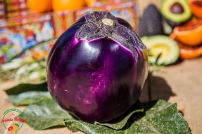 Image de 2 morceaux d'aubergine violette (1,2kg)